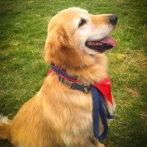 Meet your Posher, Rainer